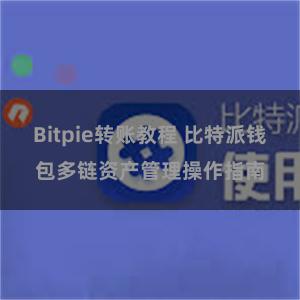 Bitpie转账教程 比特派钱包多链资产管理操作指南