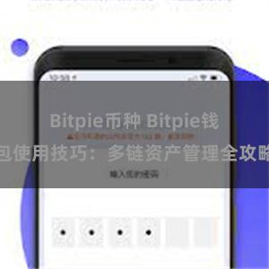 Bitpie币种 Bitpie钱包使用技巧：多链资产管理全攻略