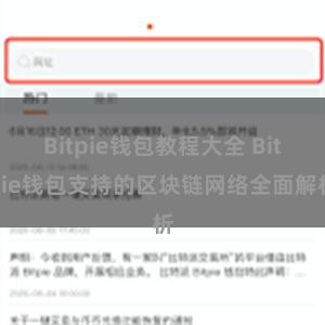 Bitpie钱包教程大全 Bitpie钱包支持的区块链网络全面解析