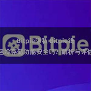 Bitpie隐私 Bitpie钱包冷存储功能安全吗？解析与评估