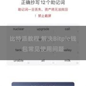 比特派教程 解决Bitpie钱包常见使用问题