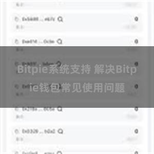 Bitpie系统支持 解决Bitpie钱包常见使用问题