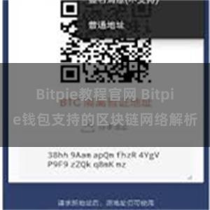 Bitpie教程官网 Bitpie钱包支持的区块链网络解析