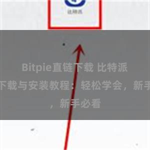 Bitpie直链下载 比特派钱包下载与安装教程：轻松学会，新手必看