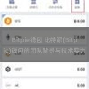 Bitpie钱包 比特派(Bitpie)钱包的团队背景与技术实力