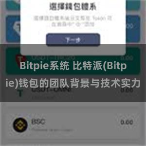 Bitpie系统 比特派(Bitpie)钱包的团队背景与技术实力