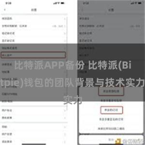 比特派APP备份 比特派(Bitpie)钱包的团队背景与技术实力