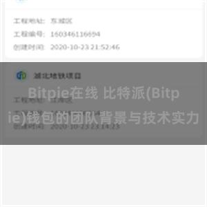 Bitpie在线 比特派(Bitpie)钱包的团队背景与技术实力