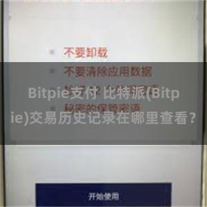 Bitpie支付 比特派(Bitpie)交易历史记录在哪里查看？