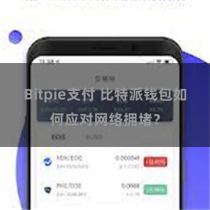 Bitpie支付 比特派钱包如何应对网络拥堵？