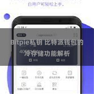 Bitpie私钥 比特派钱包的冷存储功能解析