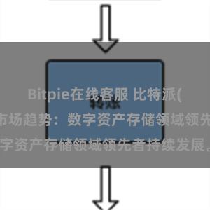 Bitpie在线客服 比特派(Bitpie)钱包市场趋势：数字资产存储领域领先者持续发展。