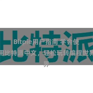 Bitpie用户指南 学会使用比特派中文，轻松玩转编程世界