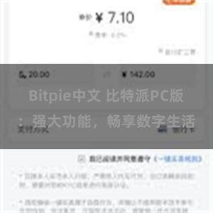 Bitpie中文 比特派PC版：强大功能，畅享数字生活