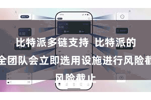 比特派多链支持  比特派的安全团队会立即选用设施进行风险截止