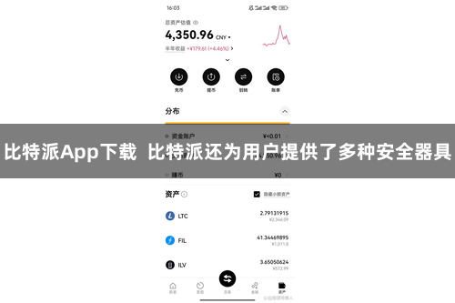 比特派App下载  比特派还为用户提供了多种安全器具